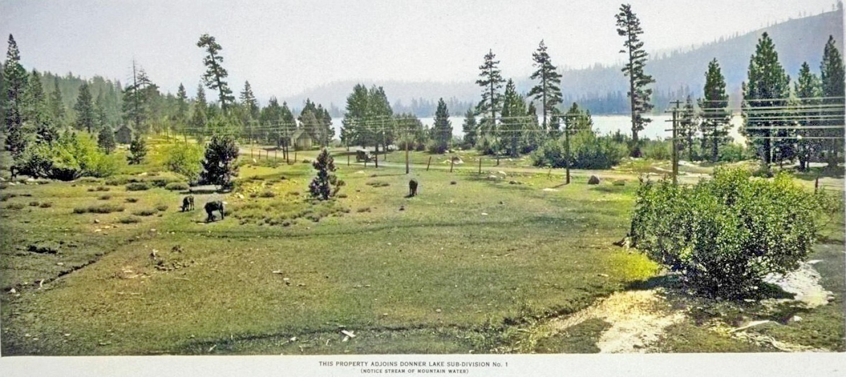 gallery/1915 view of old road near donner lake rd